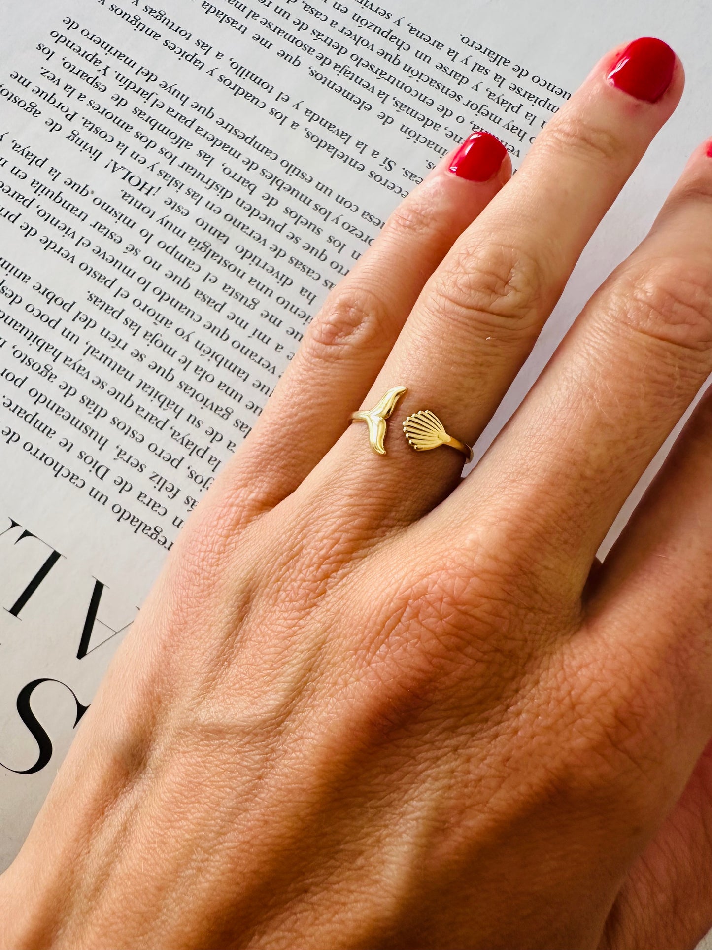 Anillo 26