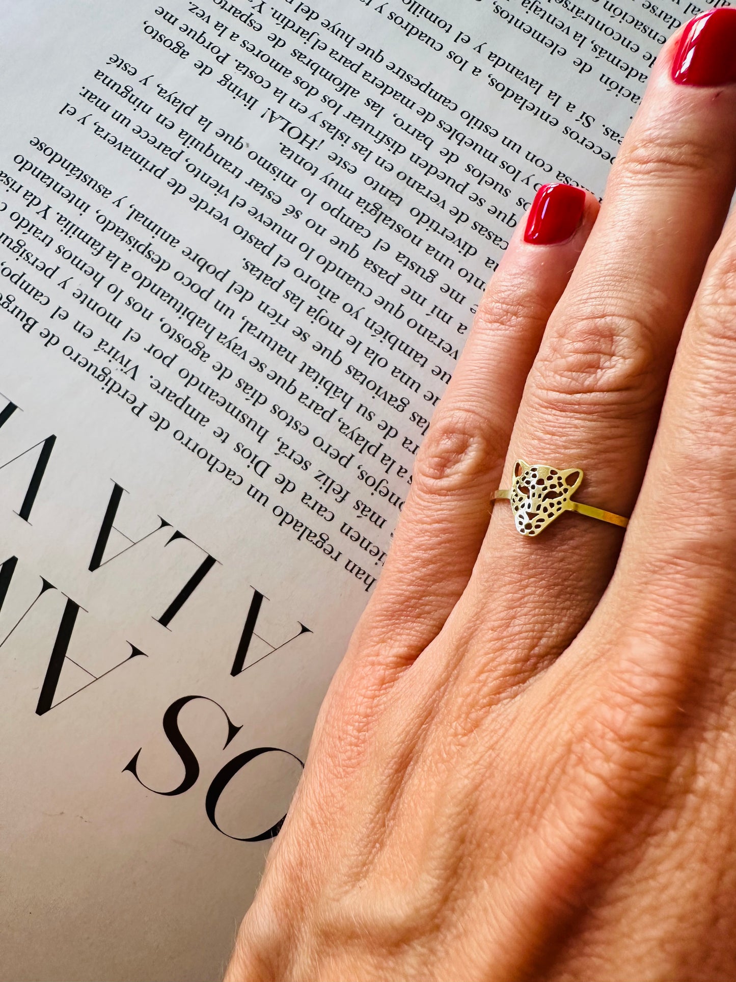 Anillo 67