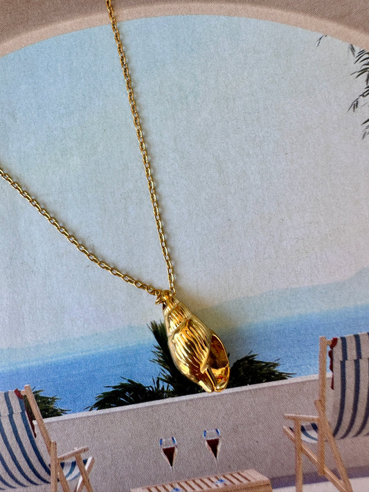 Collar Concha Marina