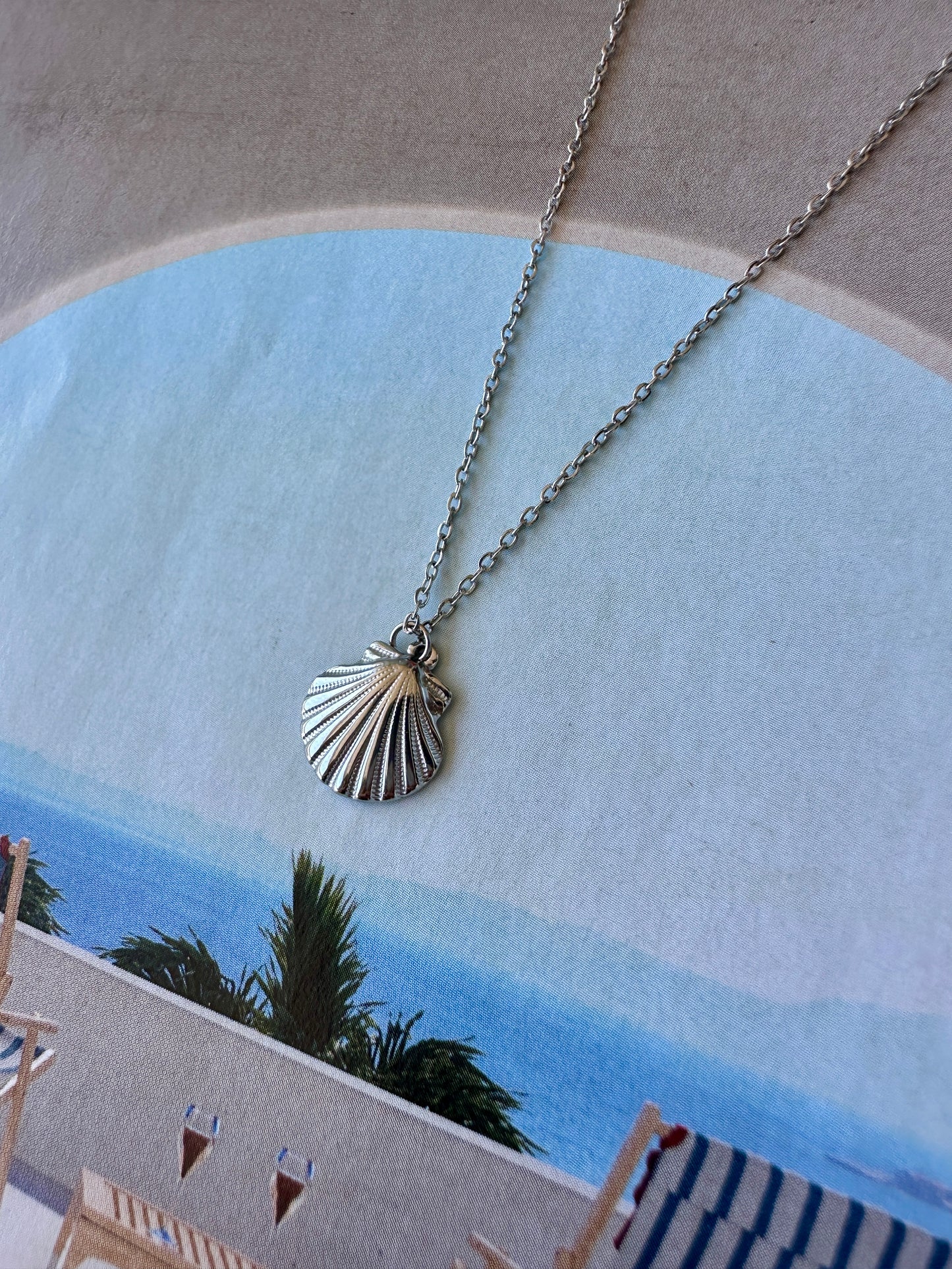 Collar Concha de Mar Plateado