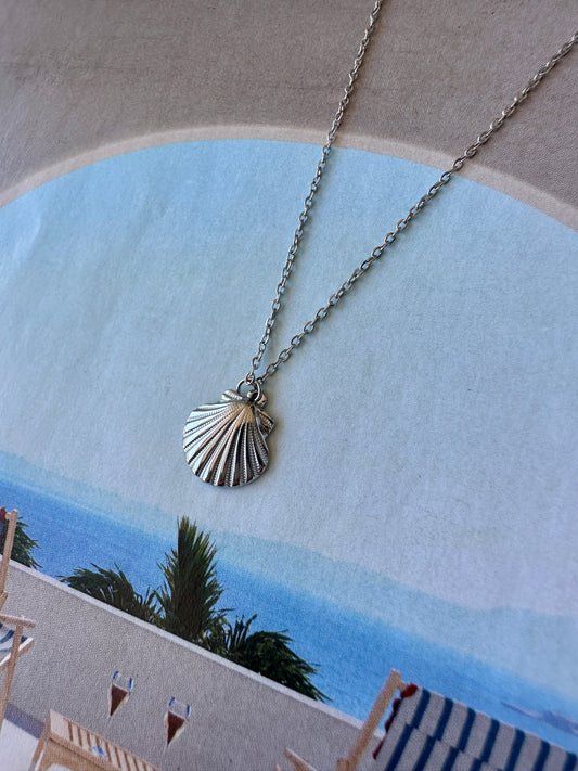 Collar Concha de Mar Plateado
