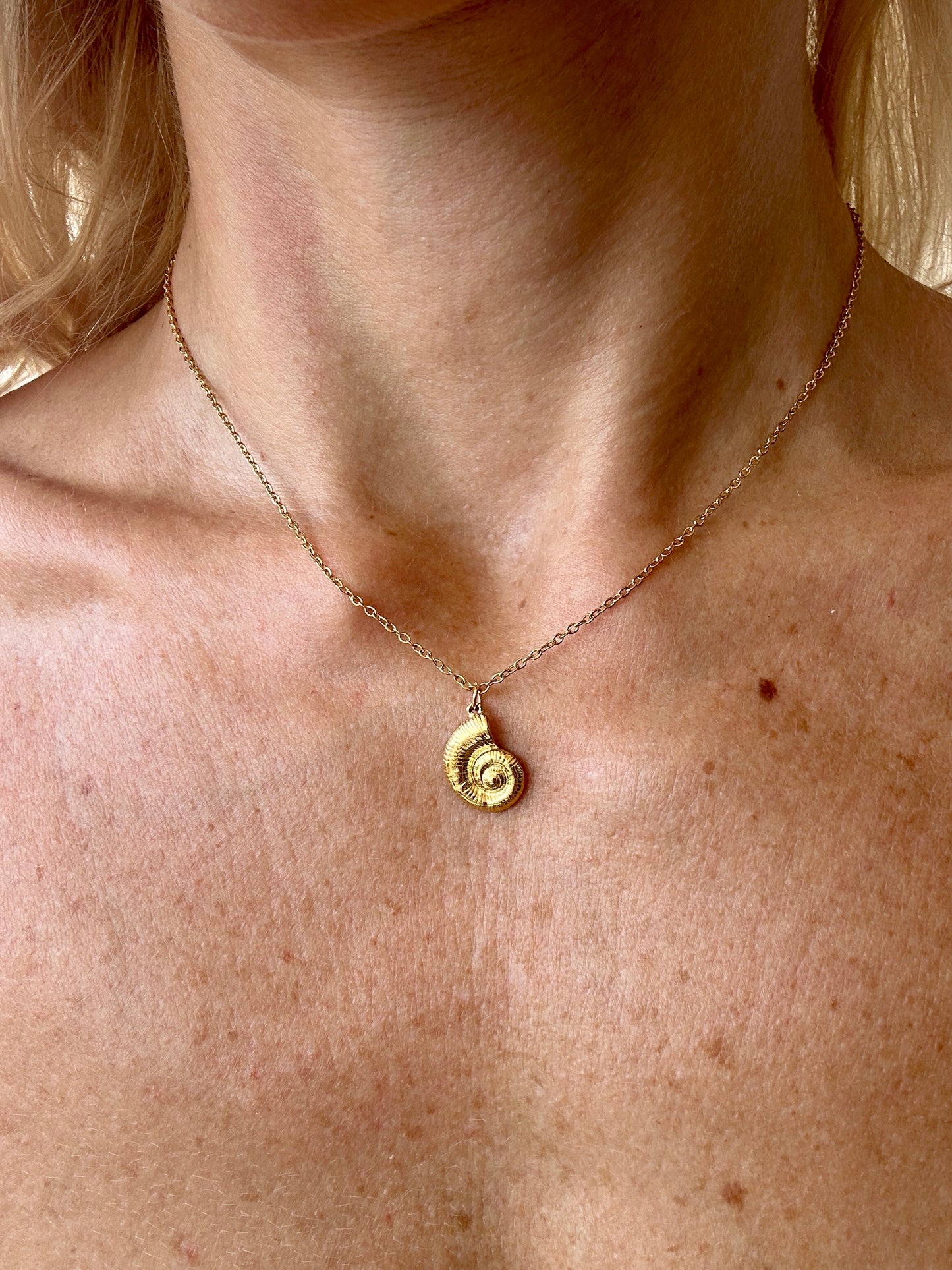 Collar Amonite Dorado